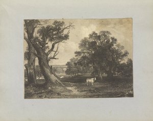 Scène pastorale avec vaches et taureaux